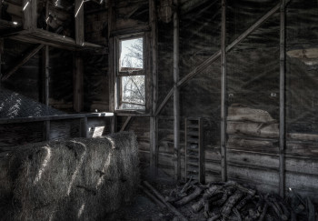 Inside an Old Shed | MarvinBowen.com