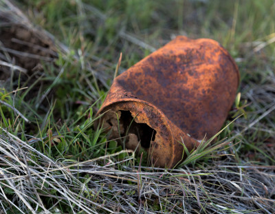 Old Rusty Can in Green Grass